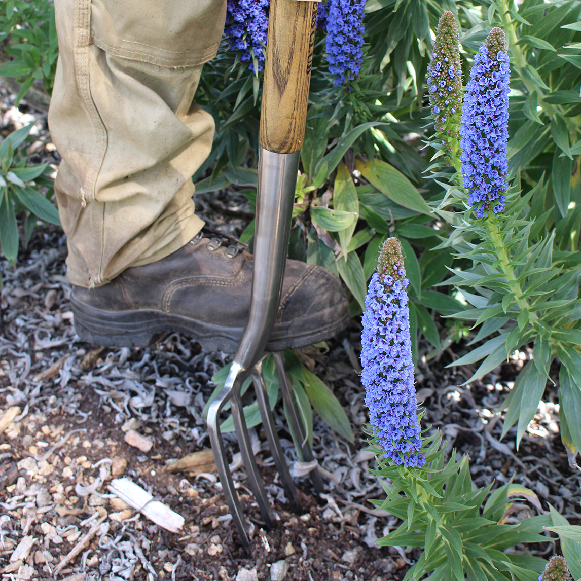 Stainless Steel Fork in Garden