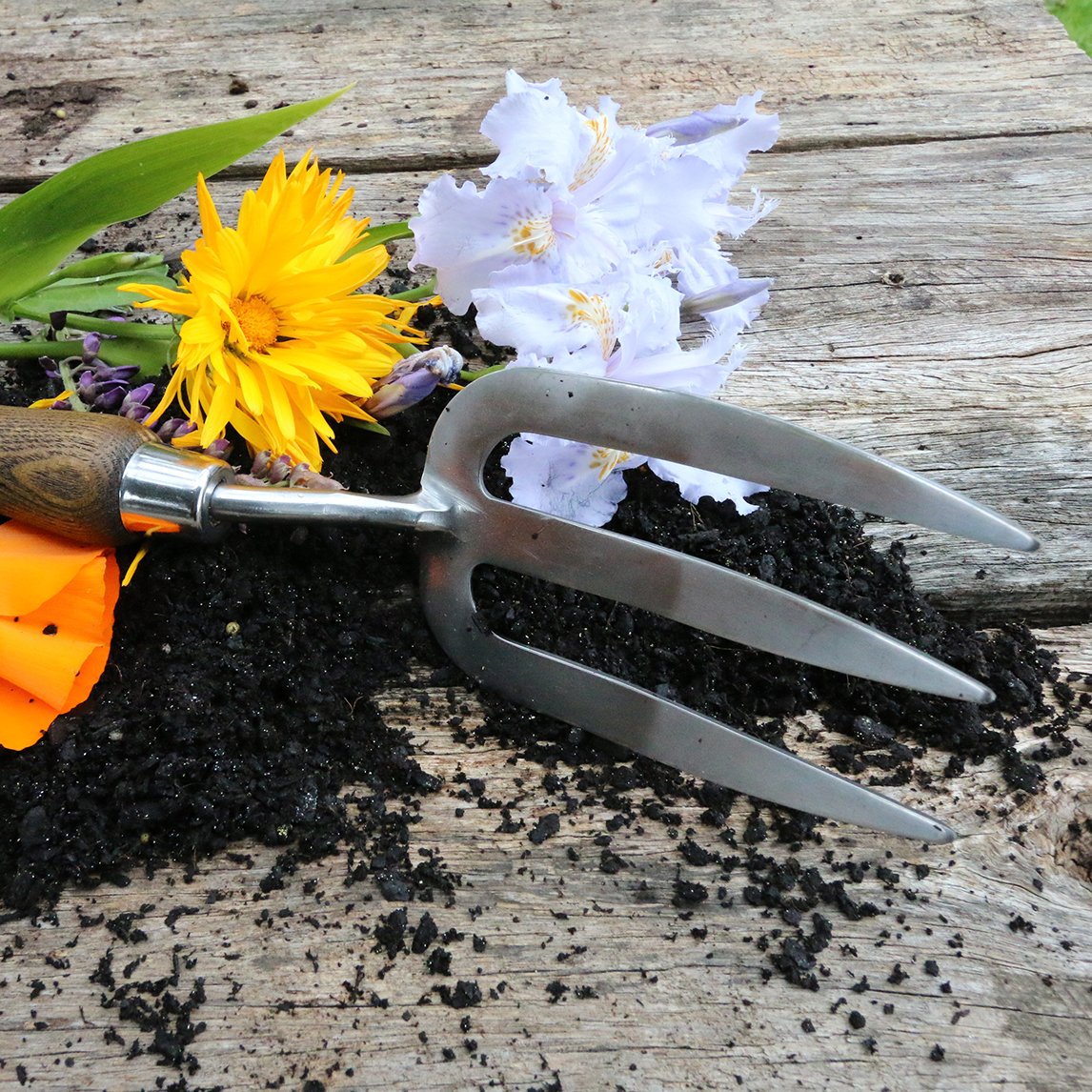 Stainless Steel Hand Fork