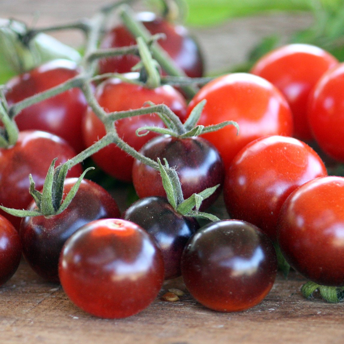 Tomato 'Blue Berries' (Organic)