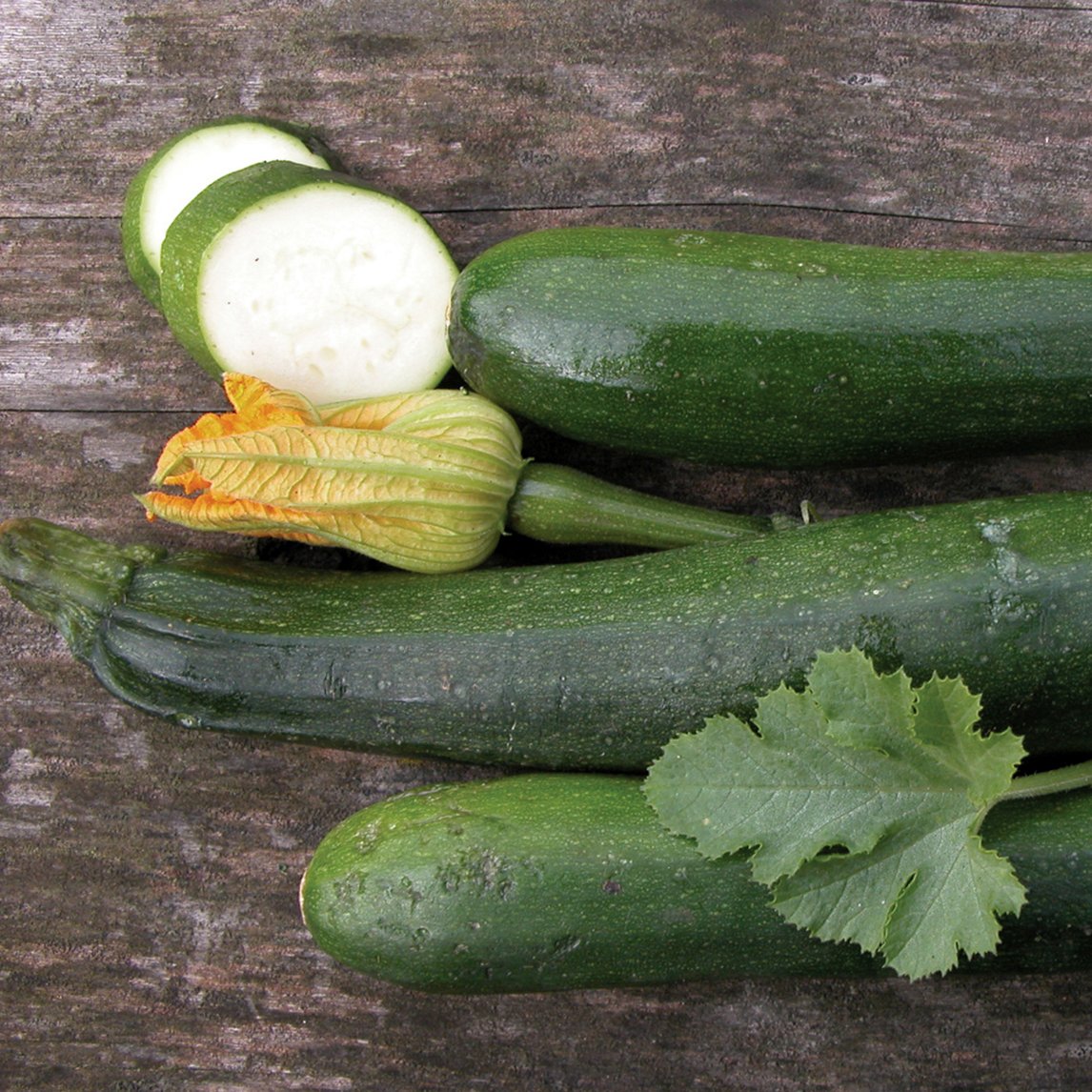 Zucchini 'Black Beauty' (Organic)