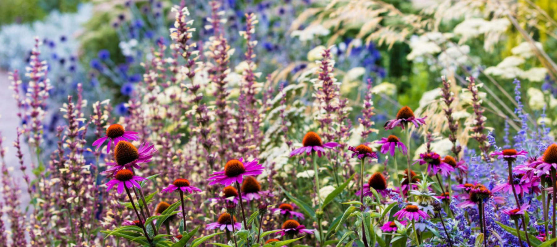 Low-Carbon Landscaping