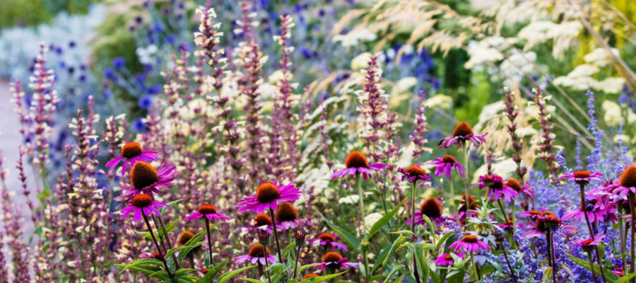 Low-Carbon Landscaping