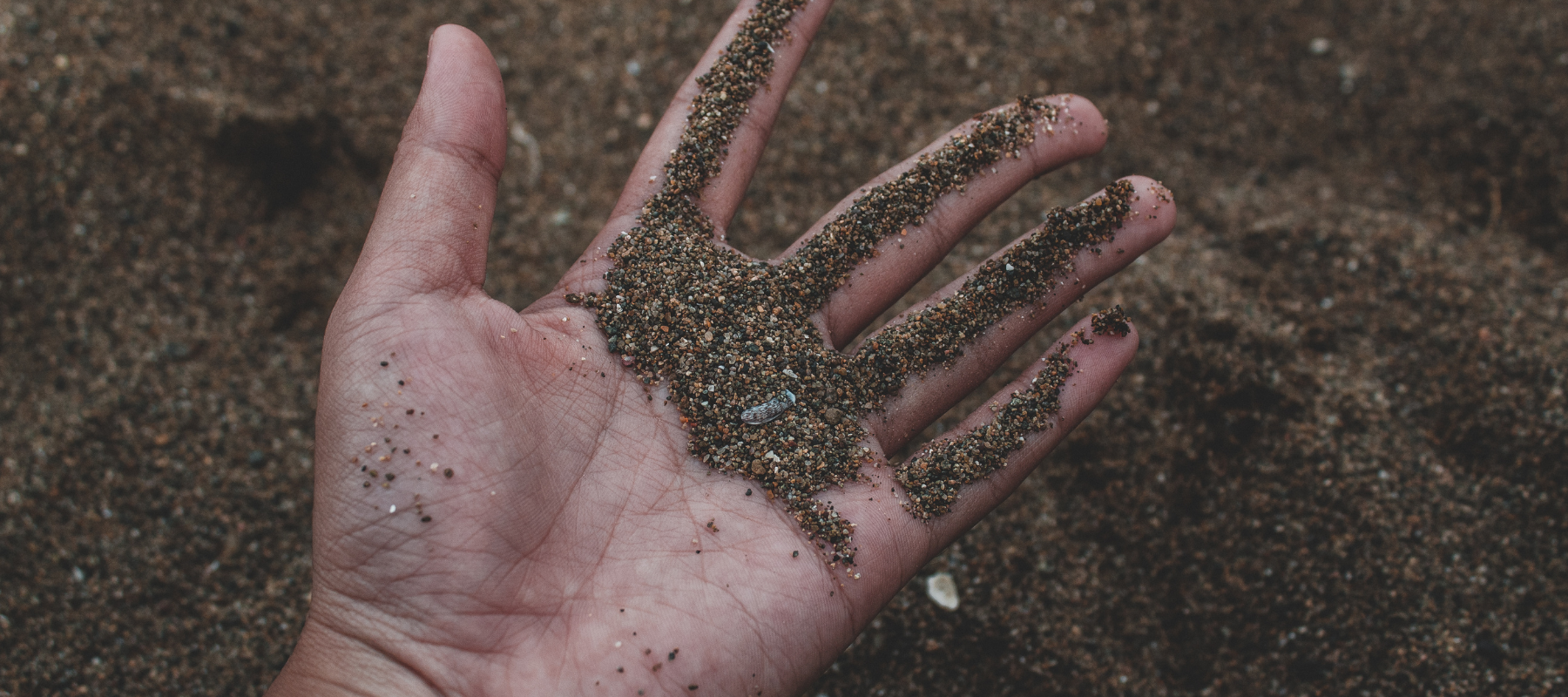 Sand or clay, get to know your soil