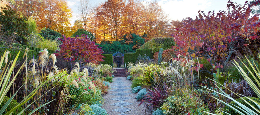 Autumn Garden 2024 Magazine