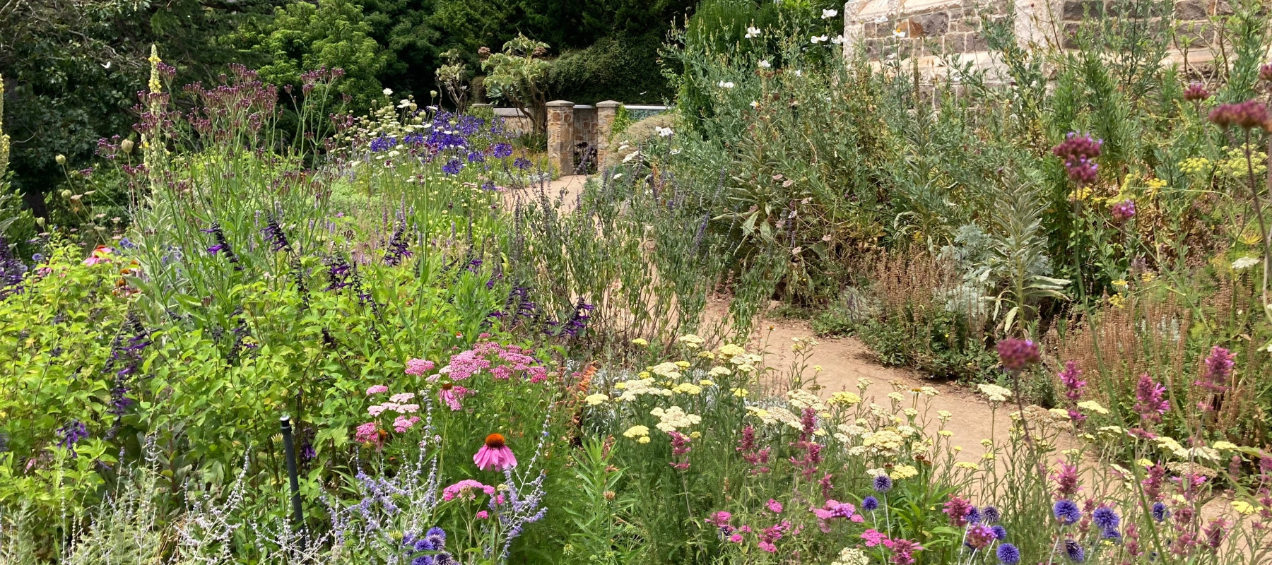 An Australian garden doesn't have to be a native one