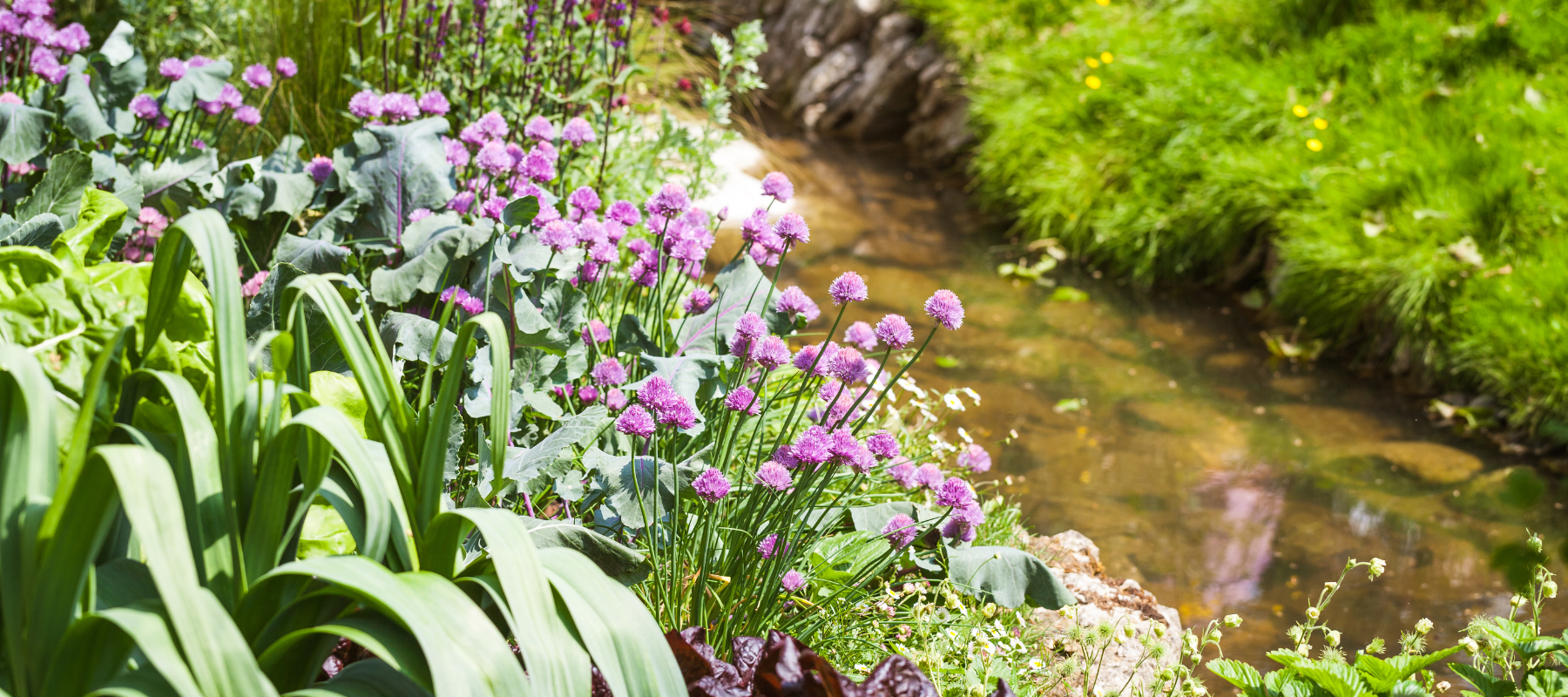 Choosing Beautiful, Edible Plants