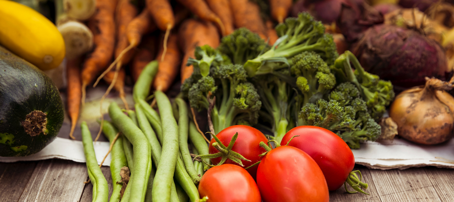 Plant based fibre