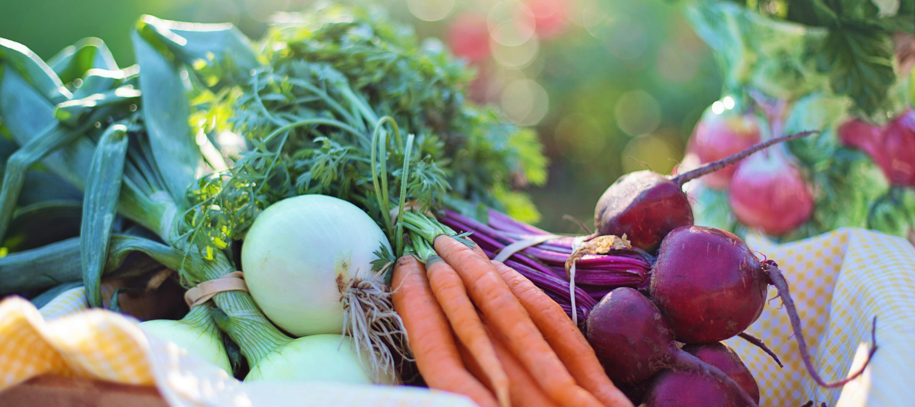 Extend your life by eating lots of fibre
