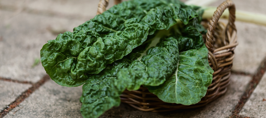 Heirloom Silverbeet and Beetroot