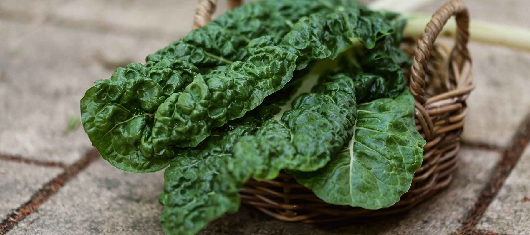 Heirloom Silverbeet and Beetroot