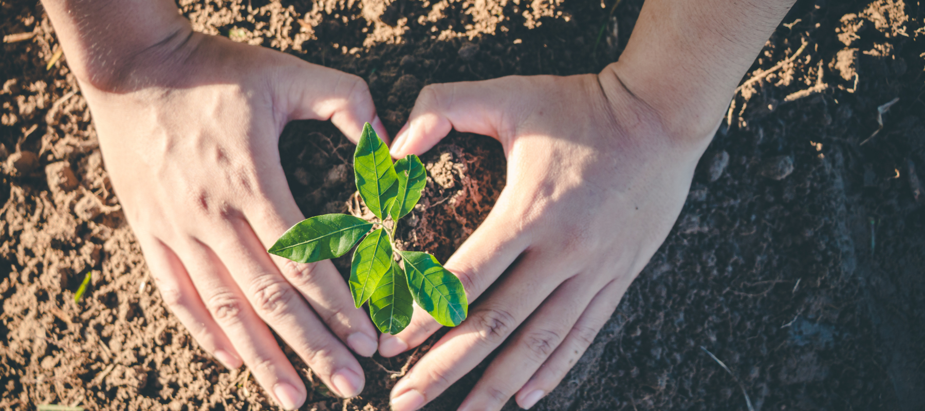 Why reconnecting with nature is so important for humanity