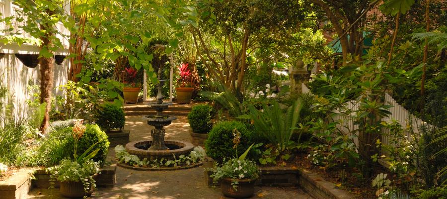 Your backyard can make a difference