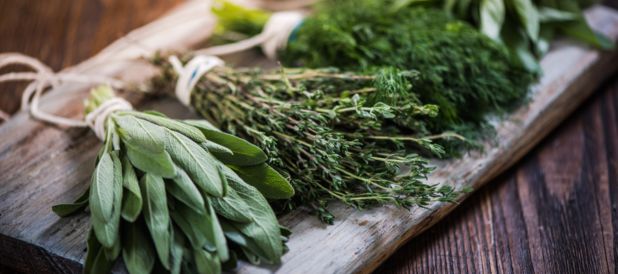 Bill Bampton's Top Ten Points for Herb Growing
