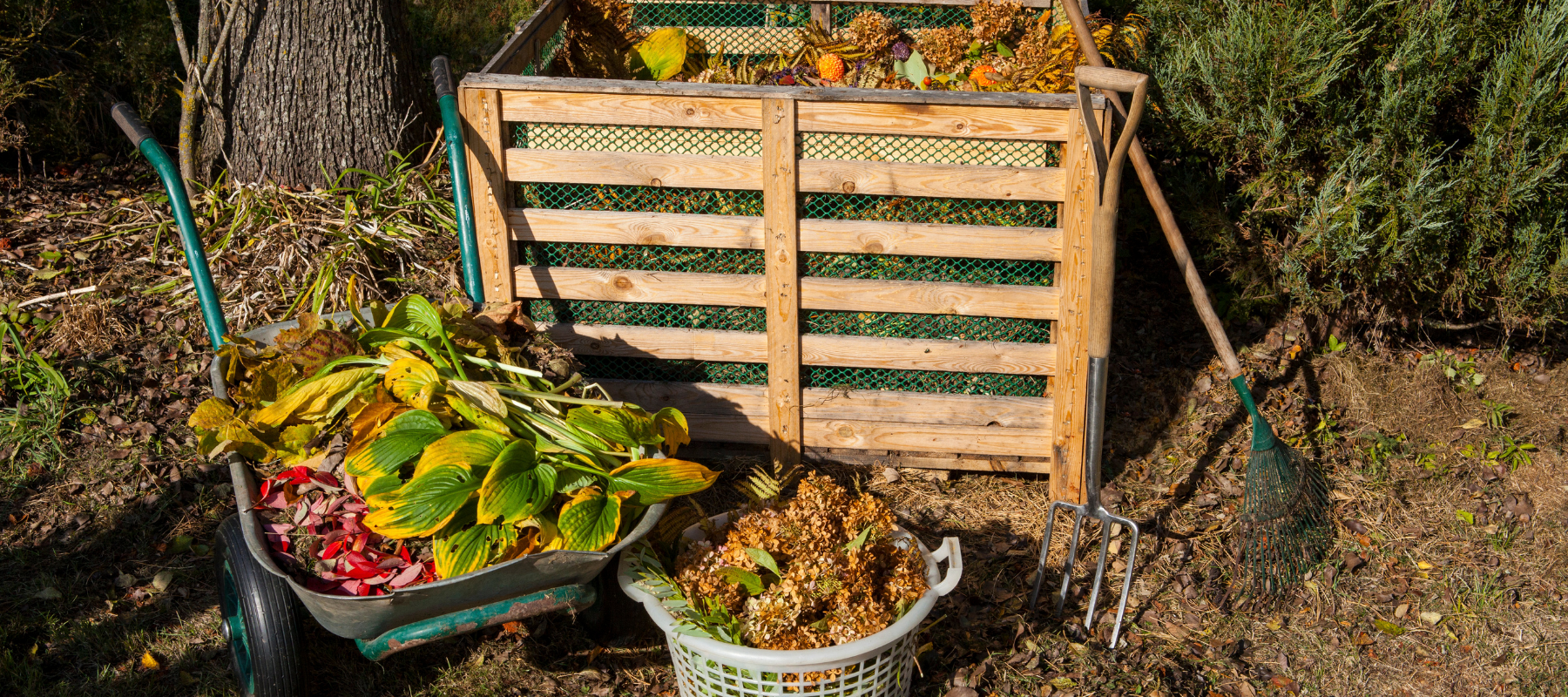 Gardening is the key to reducing waste