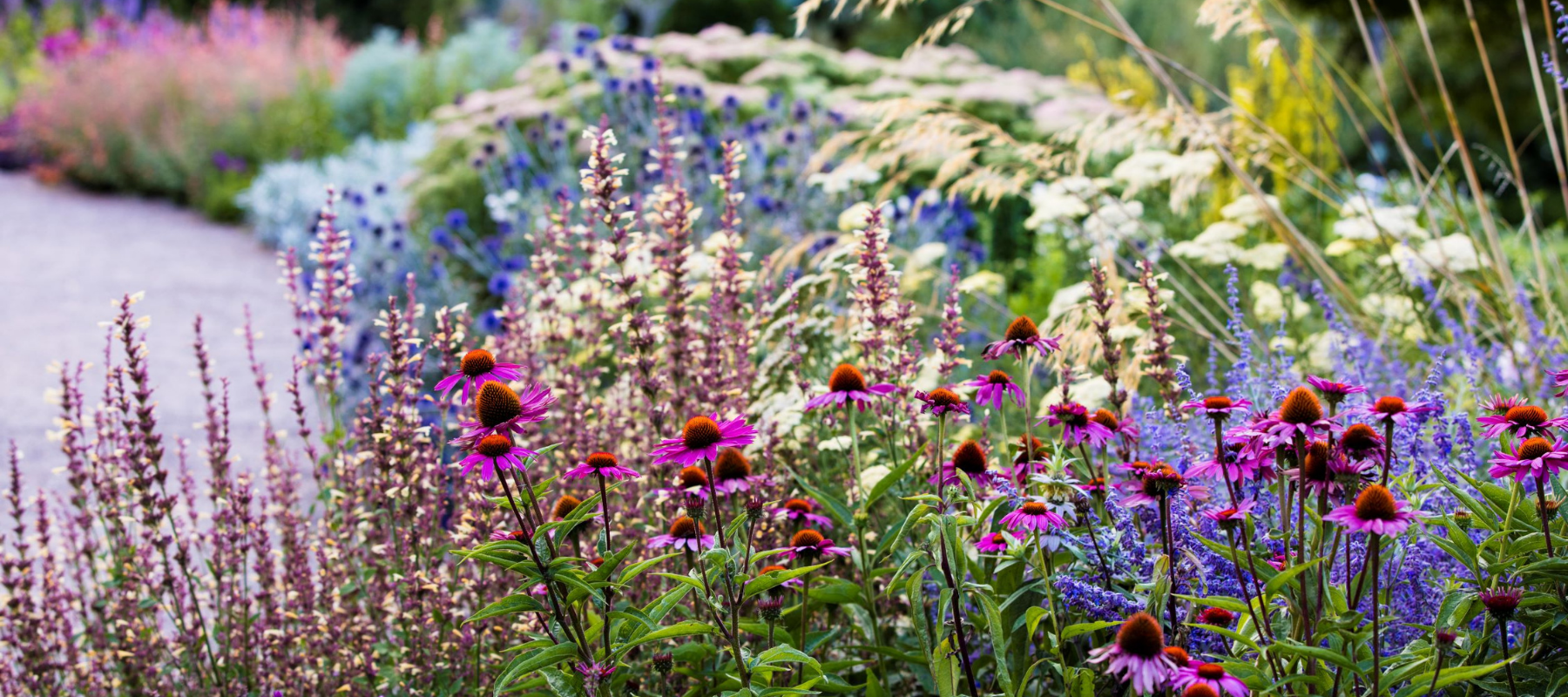 The best flower selection for your summer garden