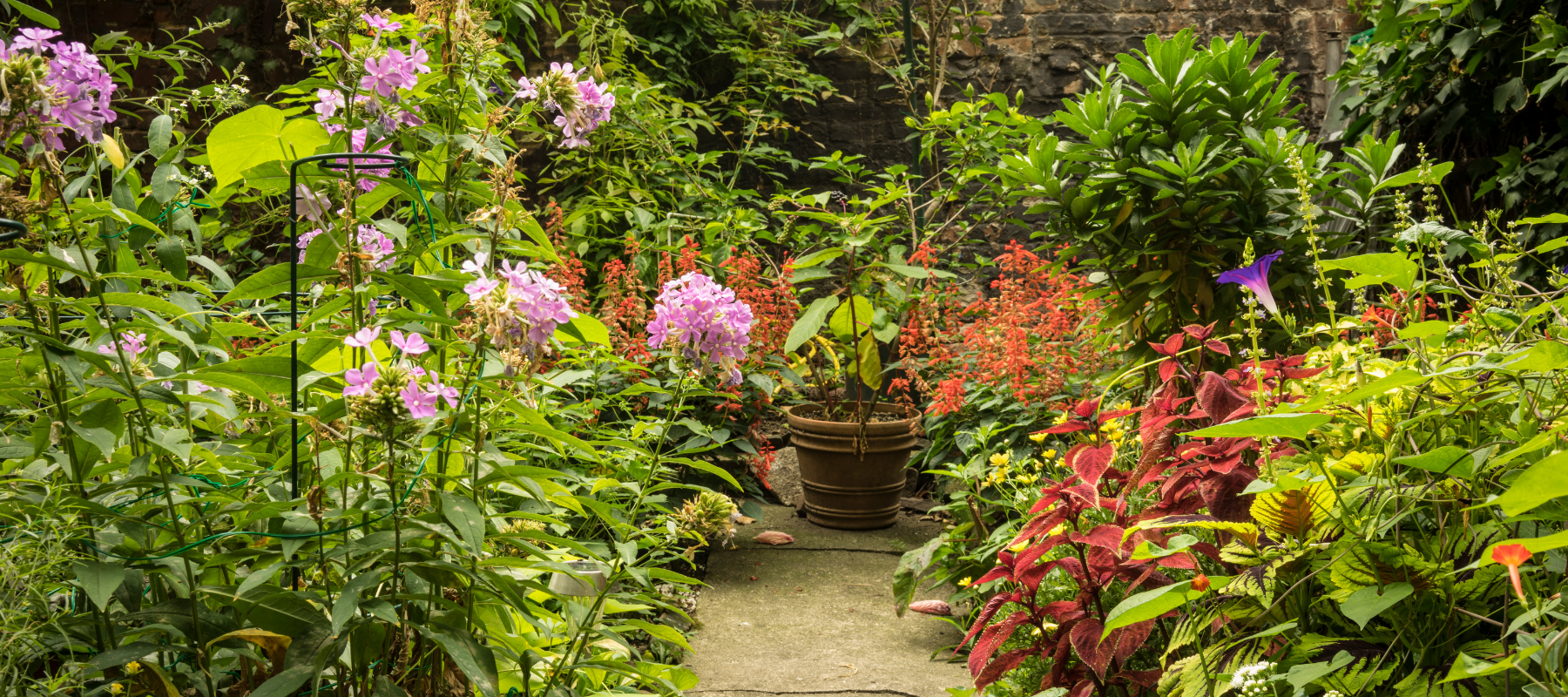 Garden Pyramid