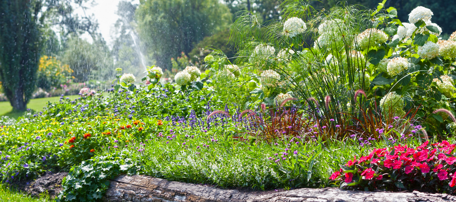 Designed Landscaping