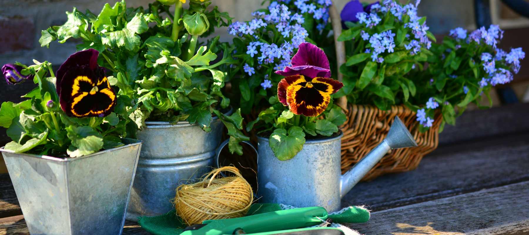 Spring gardening ideas