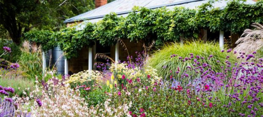 An oasis of green in the bush