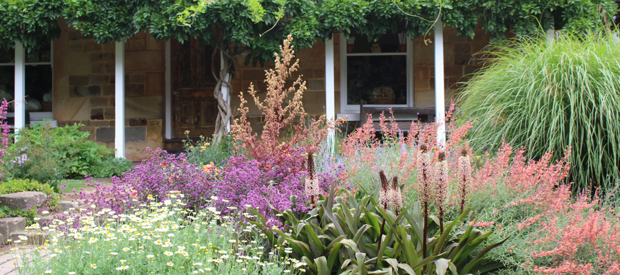 Letters from the country : St Erth's creator traces his gardening life