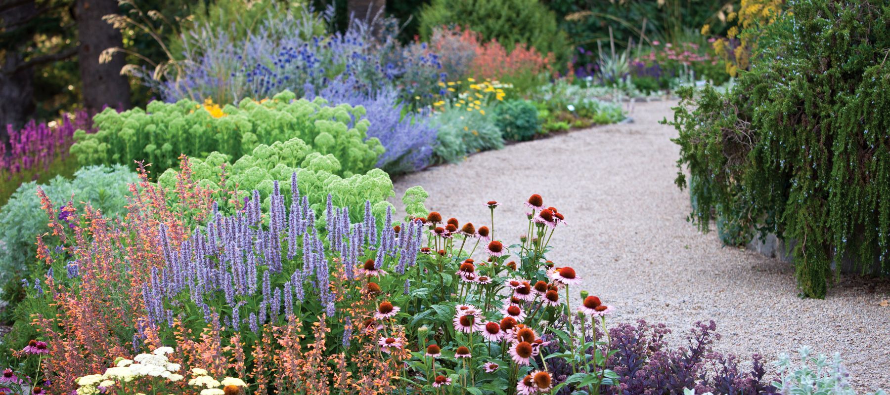 Garden guide: February - Warm Region