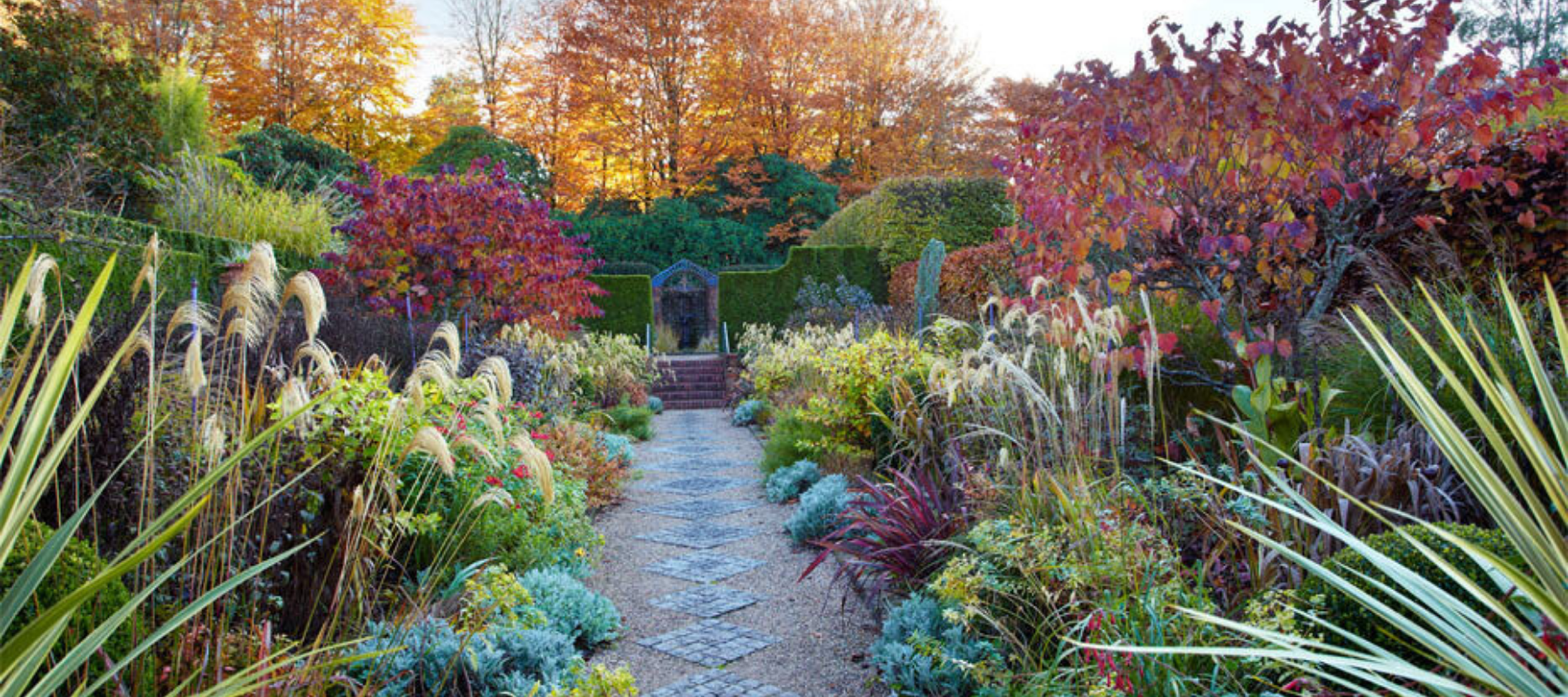 Cloudehill gardens: international significance
