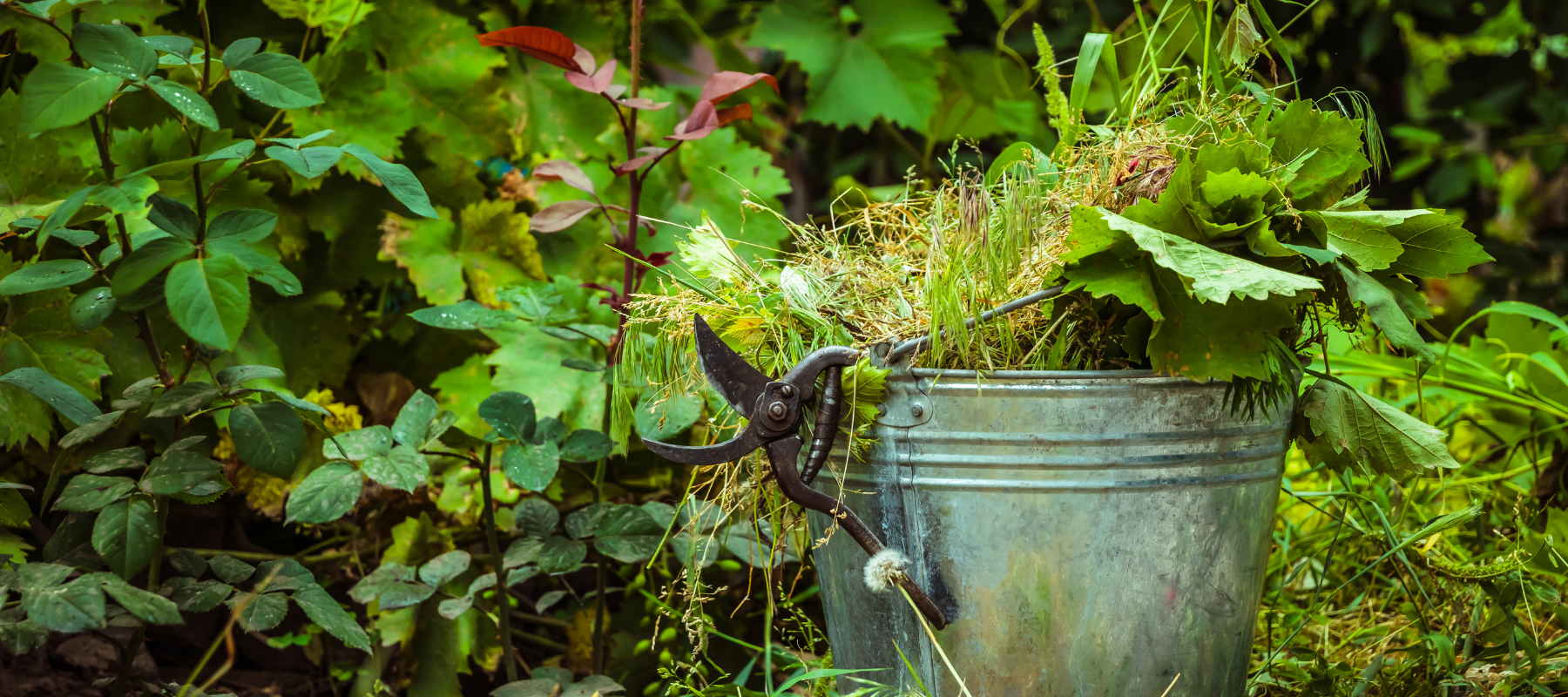 How to Make Compost