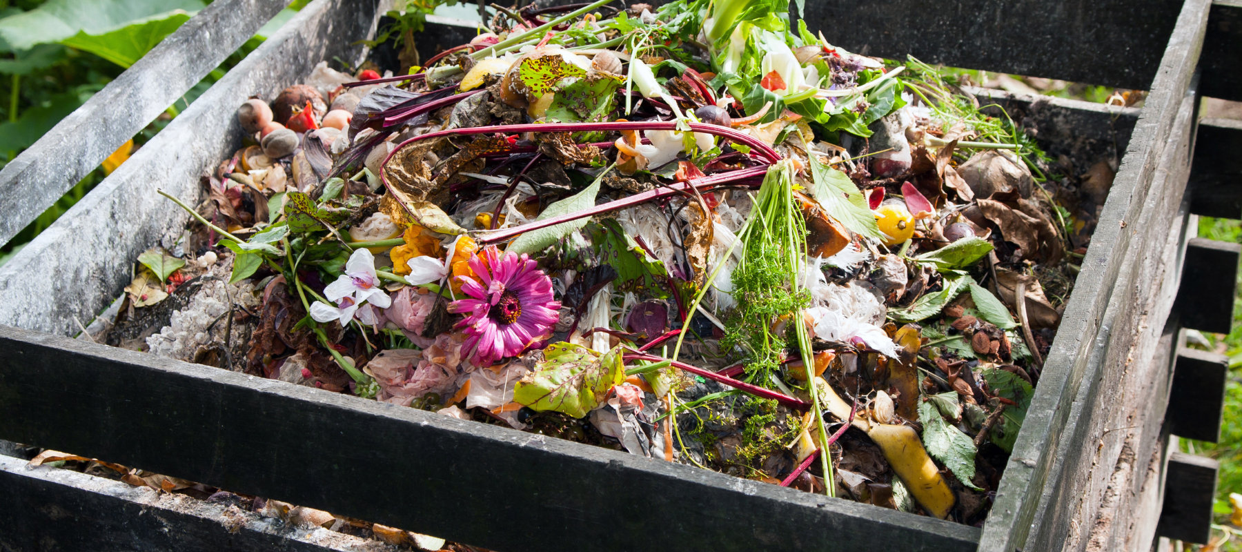 How we make our own soil