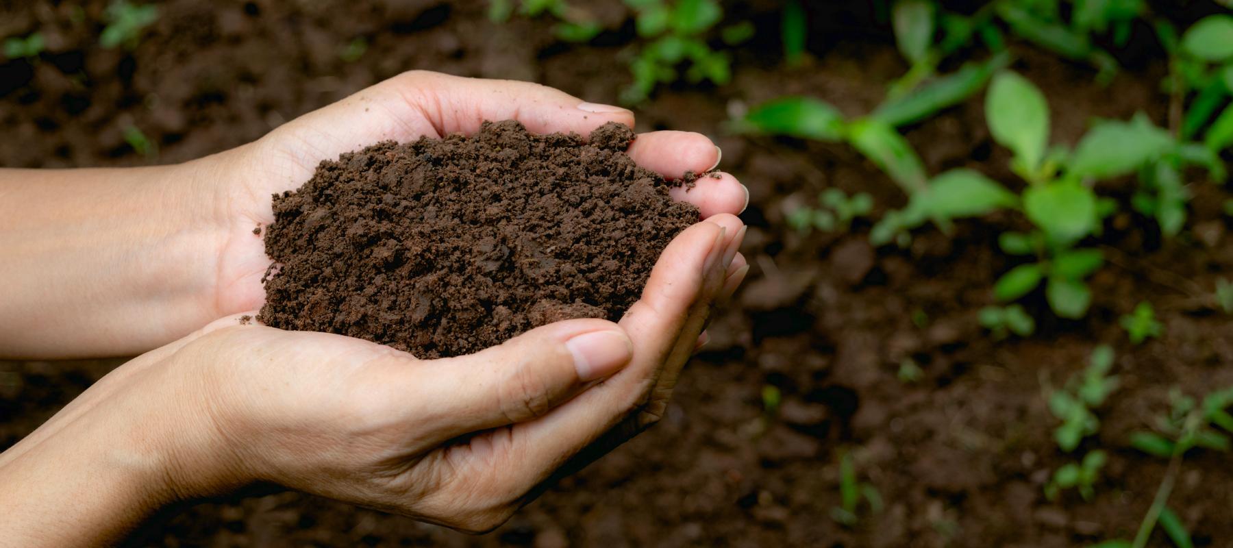What is soil nutrition for gardens?