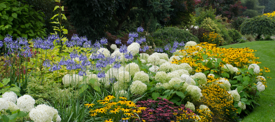 Perennial Flower Border
