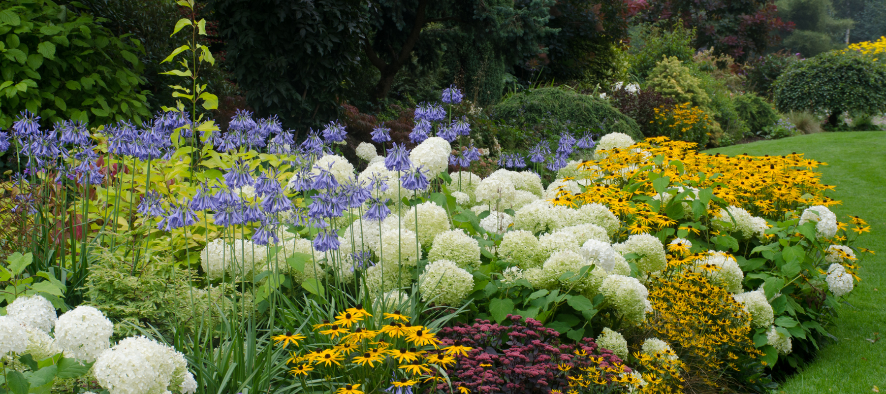 Perennial Flower Border