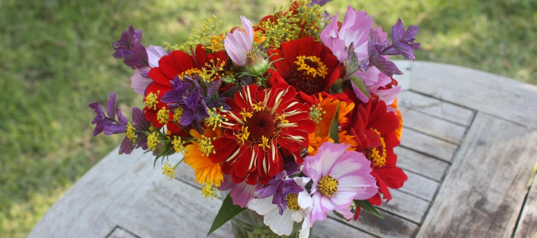 The cut flower garden – from garden to vase
