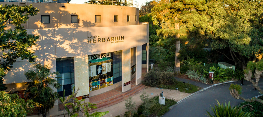 Decolonising Victoria's National Herbarium