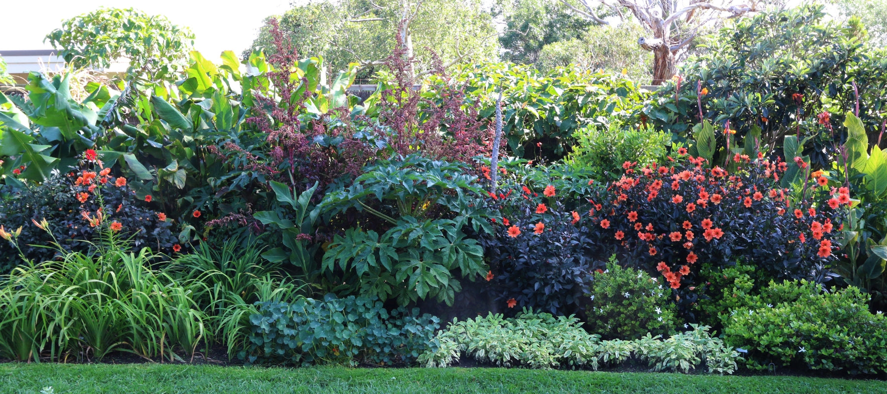 How to create your own food forest
