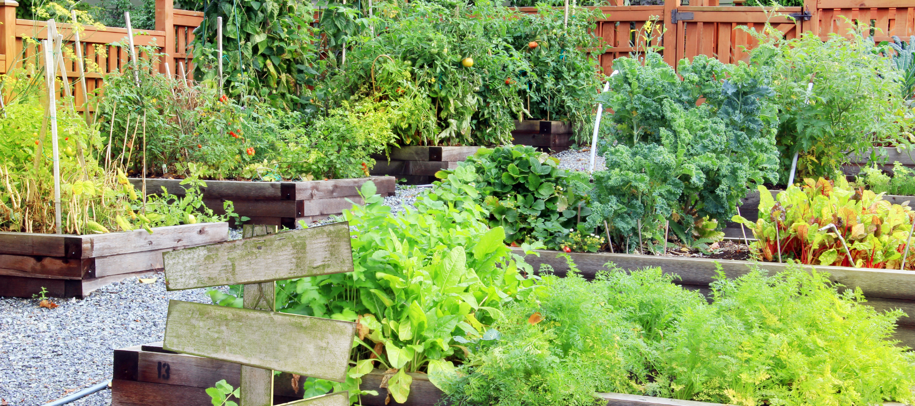Beautiful Vegie Gardens