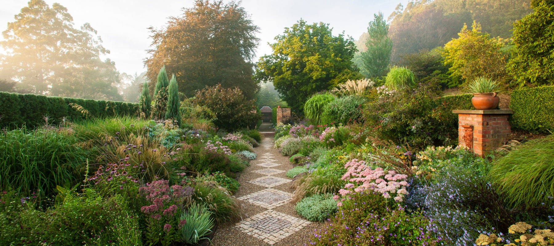 Garden through the lens