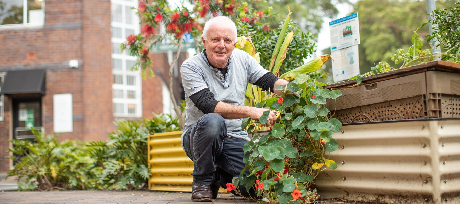 Growing food in the street