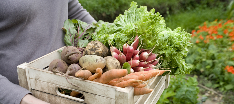 Harvesting better health