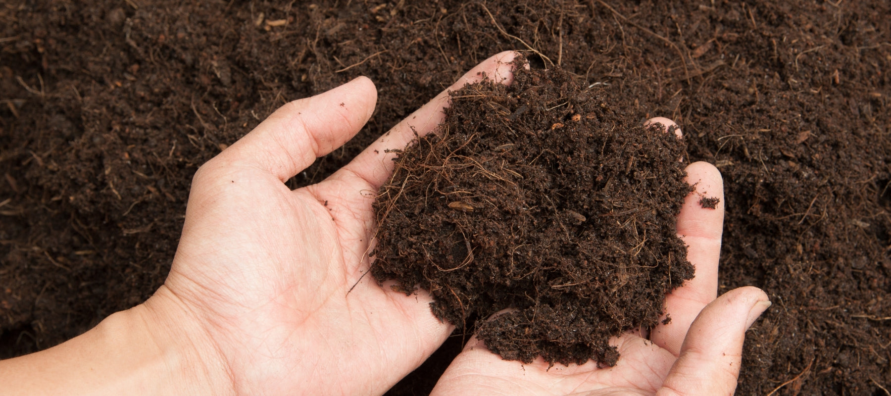 How to create healthy soil for gardening