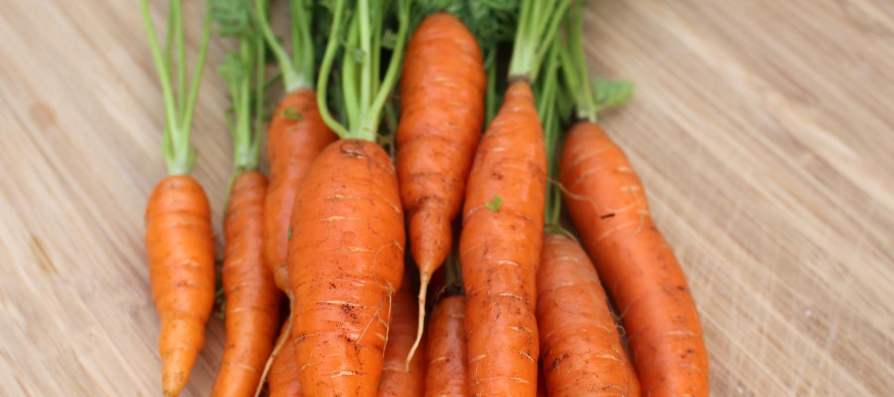 Heirloom Carrot 'Western Red'