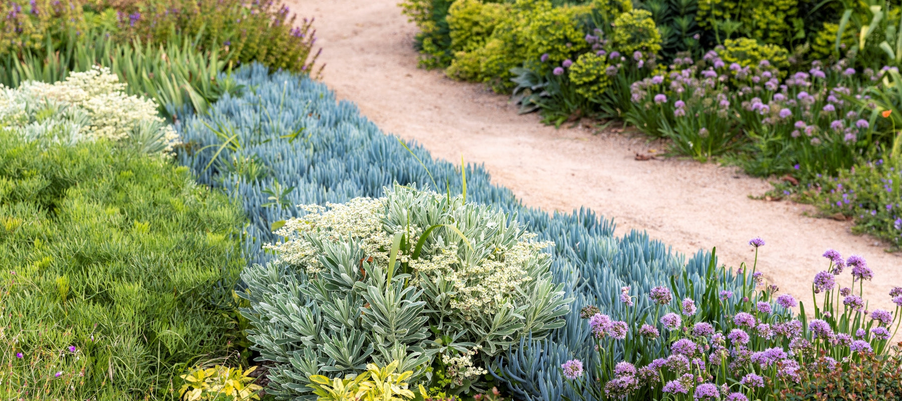 Heronswood’s evergreen cottage garden