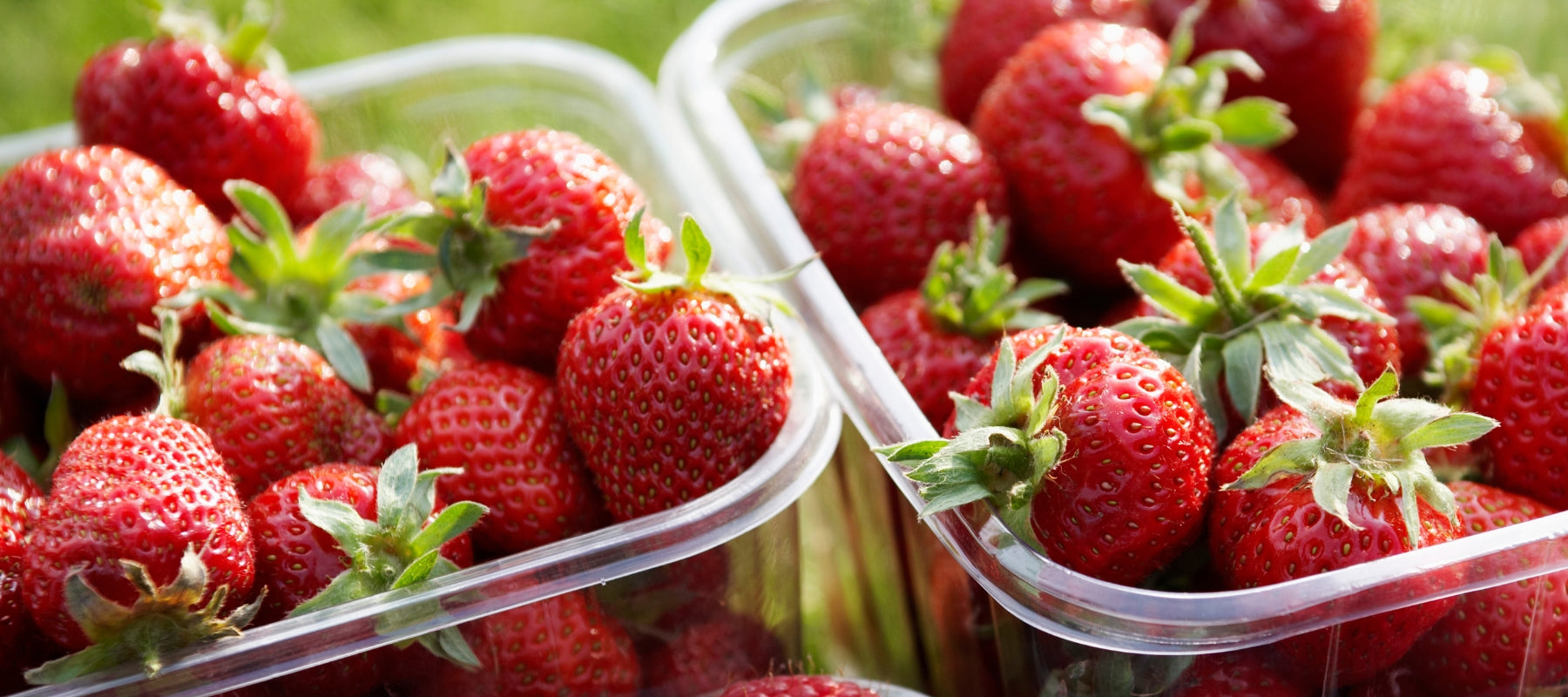 How safe is the fruit and veg on supermarket shelves?