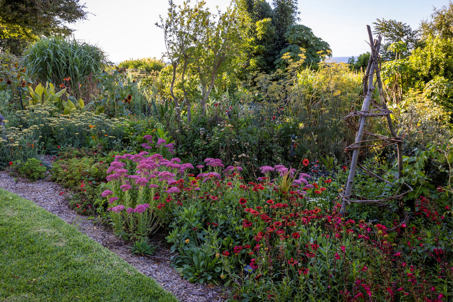 Garden guide: March - Cool Region