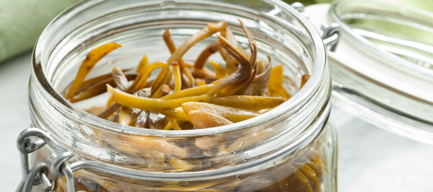 Pickled rock samphire