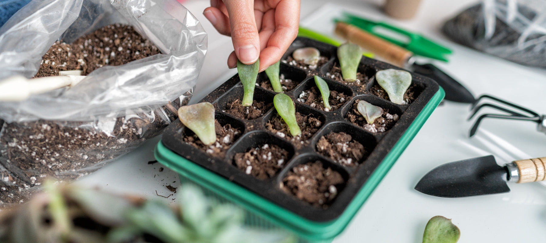 Propagation Made Easy: Video