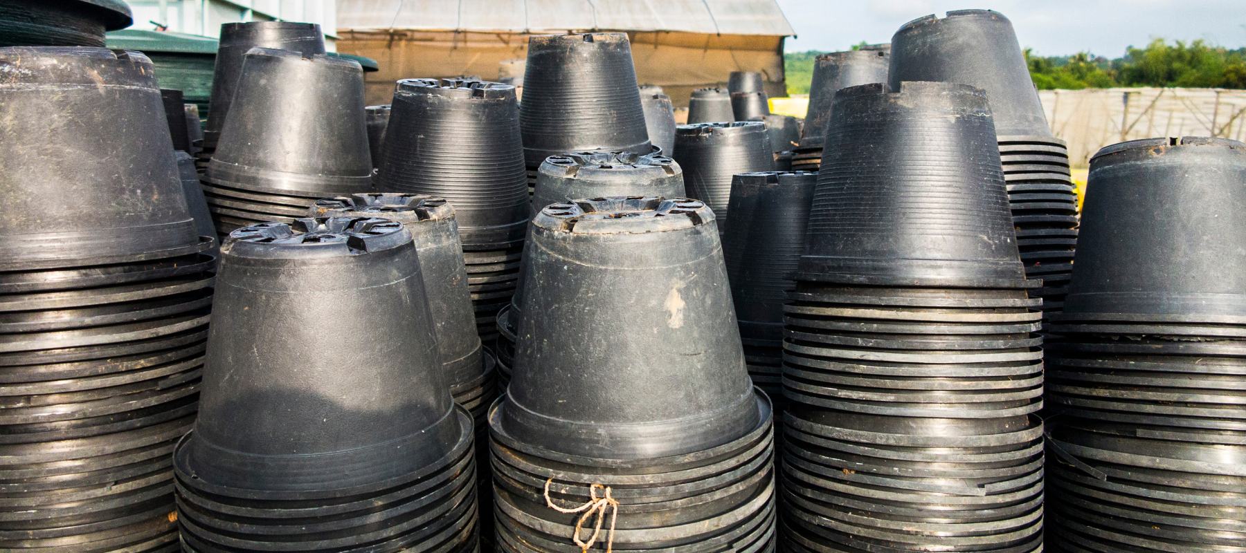 The plan for plastic pots