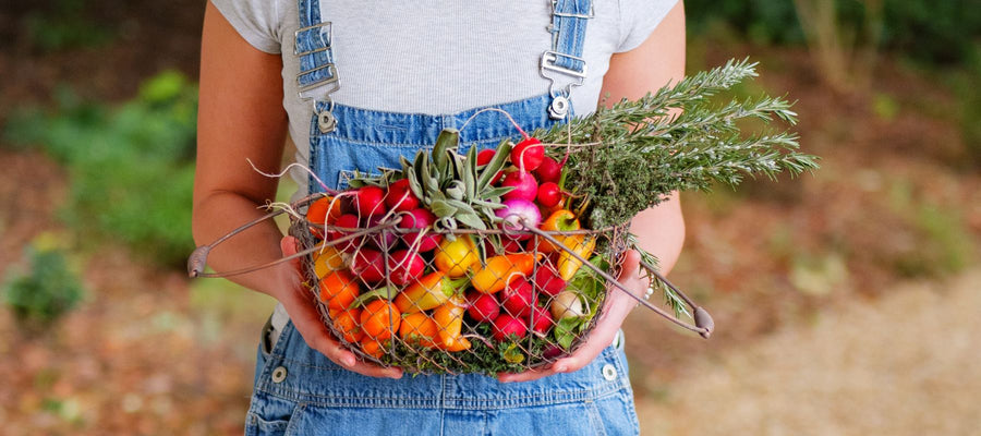 Grow success in pocket-size food gardens