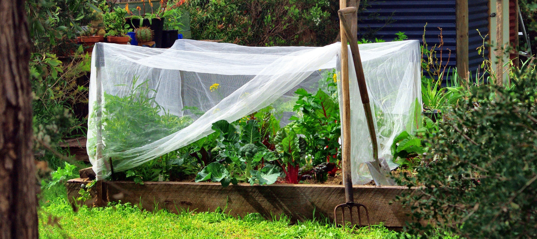 5 ways to prepare your garden for summer
