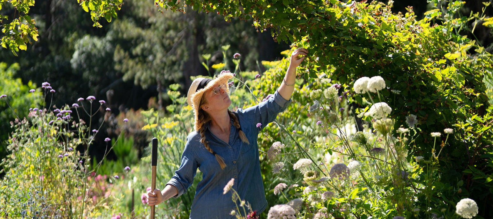 Autumn Garden 2026 Magazine