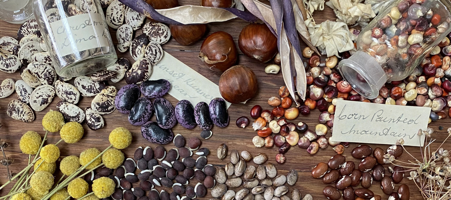 Heirloom Seed Annual 2021/2022 Magazine
